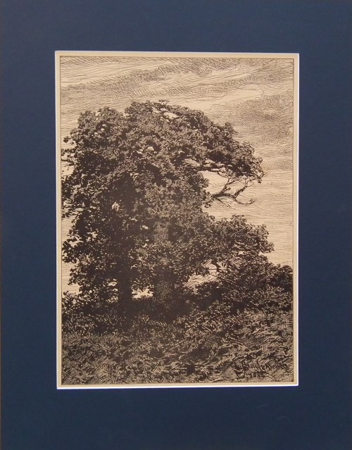 Dęby,1882, Ludomir Benedyktowicz