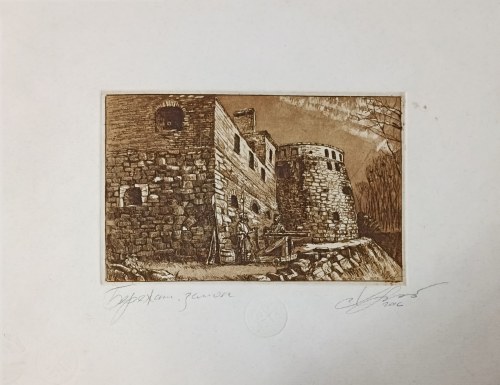 Bereżany. Zamek, 2016, Władysław Chrystenko