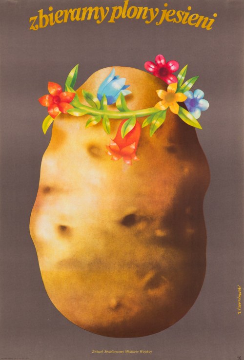 Zbieramy plony jesieni. Związek Socjalistycznej Młodzieży Wiejskiej, 1974, Jerzy Czerniawski