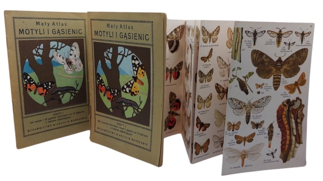 Atlas Housenek Online (charakteristiky Tělo, charakteristiky Tělo housenek, Morfologické charakteristiky Tělo, Tělo housenek, Chování vývoj) Atlas Housenek Online