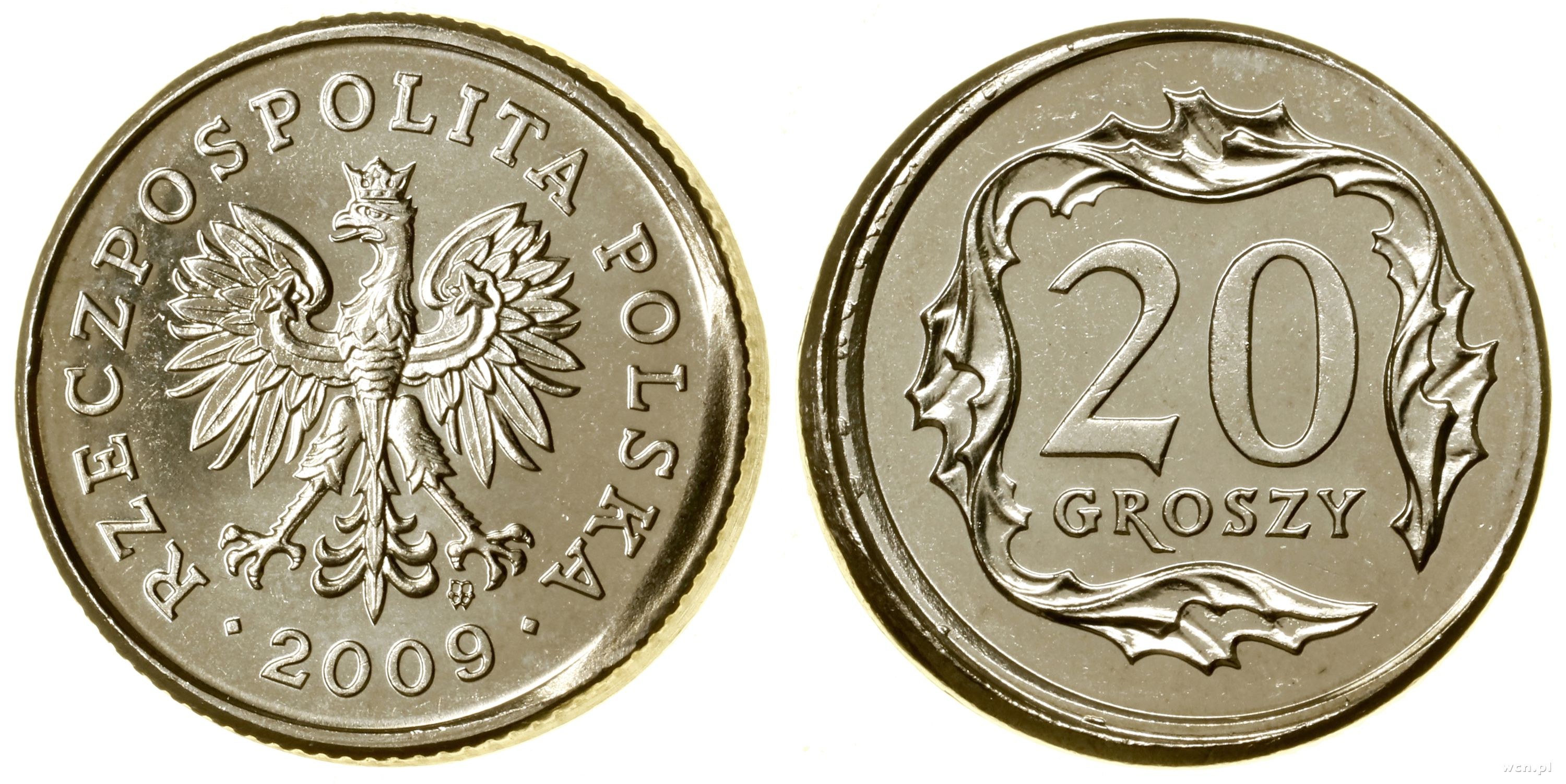 Польский злотый символ. 130 крон в рублях. Деньги польши. Шведские кроны в евро. Чешский злотый.