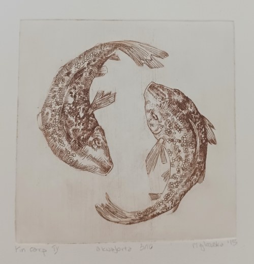Ryby, Barbara Majkowska