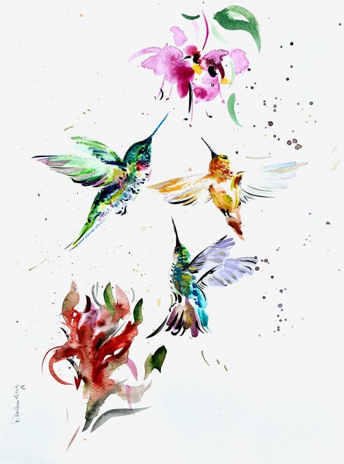 Kolibry, 2023, Dorota Milewicz