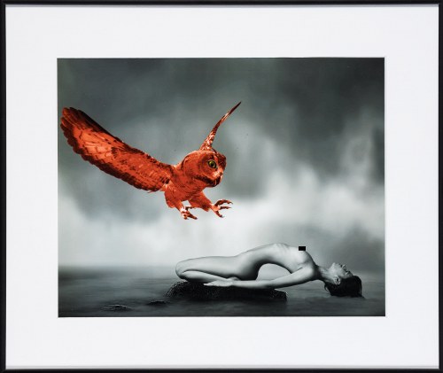 IL GUFO, 2013, Flavio Marinoni
