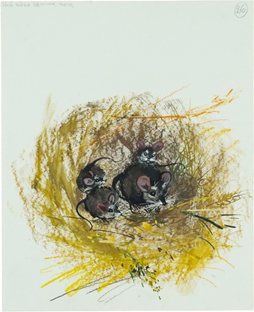 Dziwne gniazdko, ok. 1966 r., Janusz Grabiański