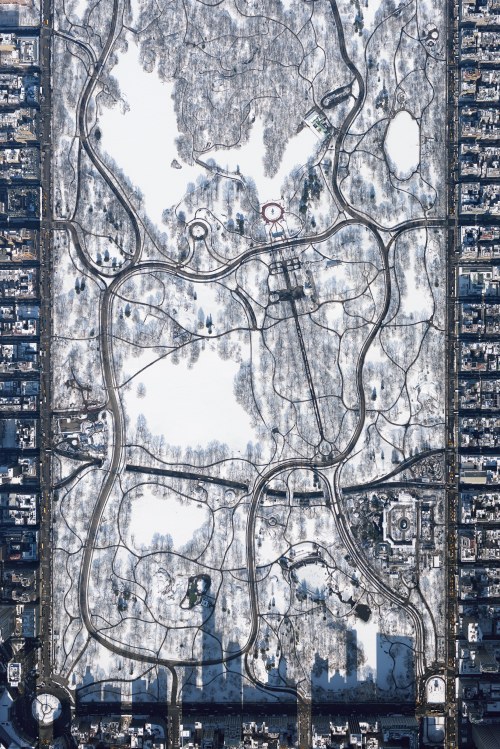 Central Park From 10000 feet, Filip Wolak