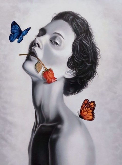 Rosa y Mariposa, Reinier Cabrera