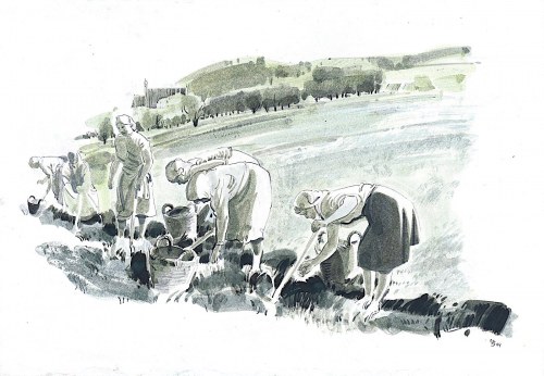 Wykopki, 1964, Wacław Siemiątkowski