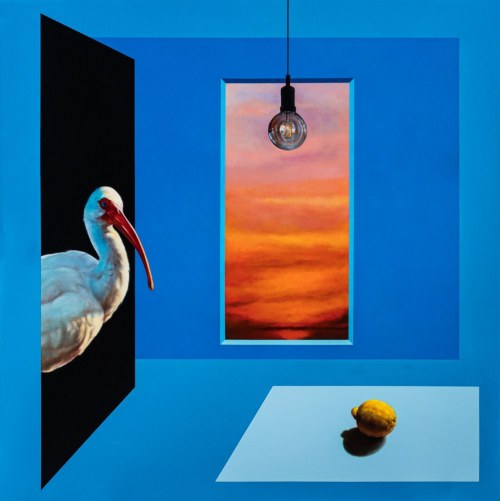 Ibis, 2023, Artur Wawrzkiewicz