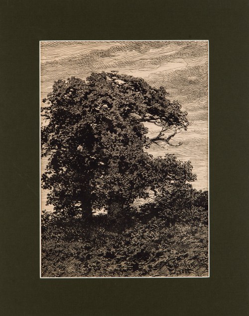 Dęby, 1882, Ludomir Benedyktowicz