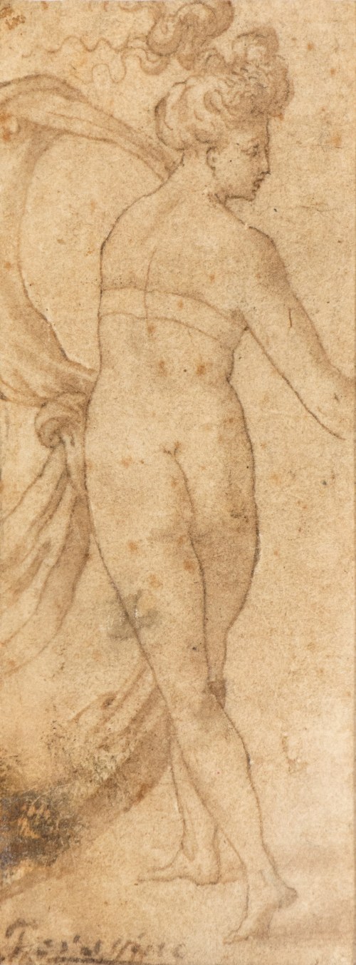 Ninfa, Parmigianino Girolamo Francesco Maria Mazzola