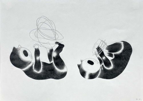 Kotki, 2013, Monika Hanulak