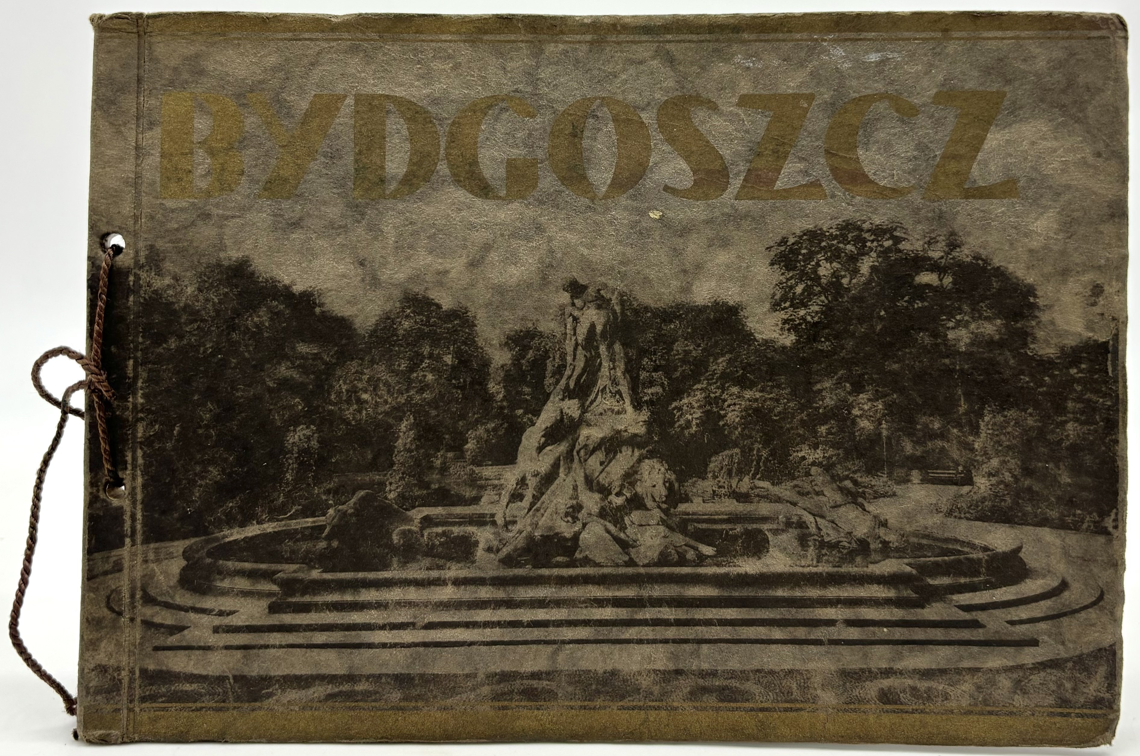 Album Bydgoszczy: 16 artystycznych plansz grawurowych (zdjęcie