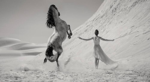 „Where the wild horses run", 2014, Konrad Bąk
