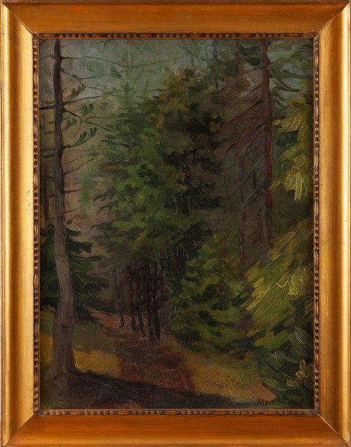 Wnętrze lasu, Adam Marczyński