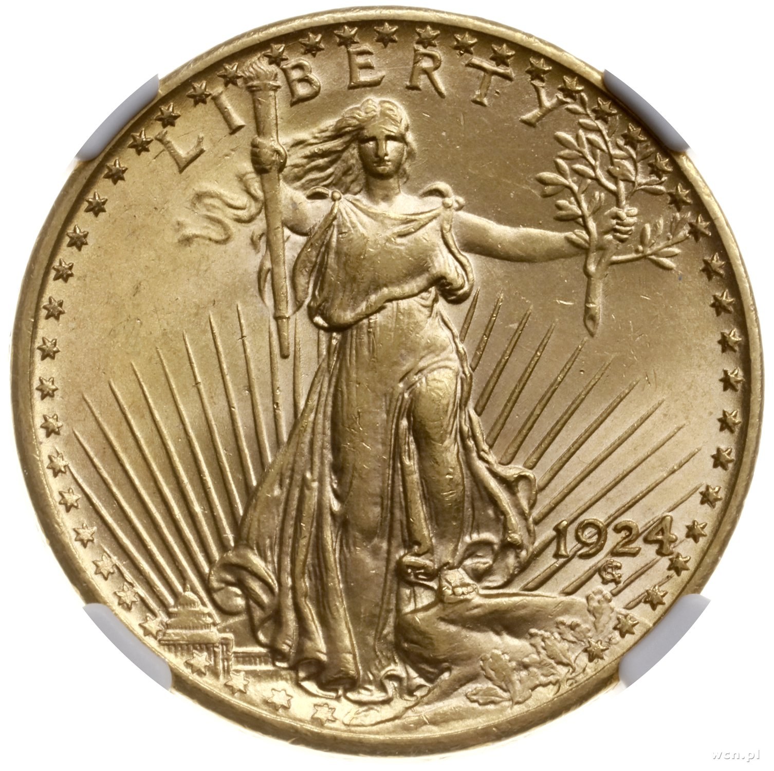 Америка золотой талант. Double Eagle монета. Двойной Орел сен-Годена. Монета 20 долларов США двойной Орел. 20 Долларов Золотая монета.