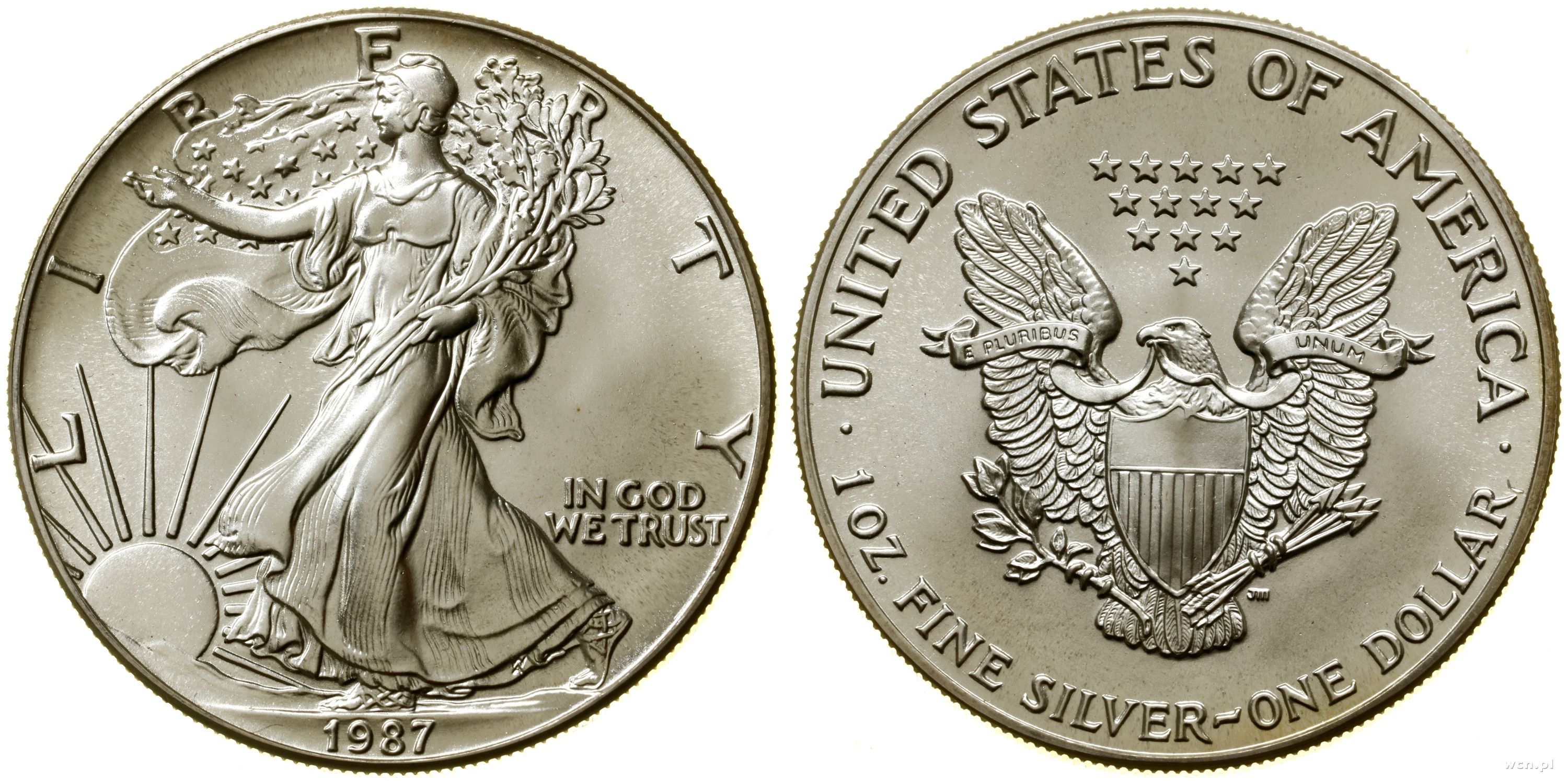 1 доллар монета серебро. Монета 1 доллар США Либерти. 5 Франков 1963 Франция. Серебряные монеты США. Американские монеты современные.