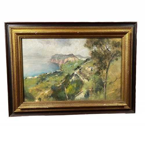 Spojrzenie na linię brzegową., G. Casciaro