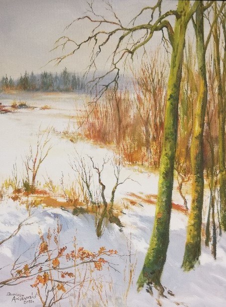 Pejzaż zimowy,2010, Dariusz Aniszewski
