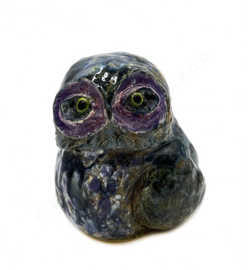 Sowa lapis lazuli, Paula Solańska
