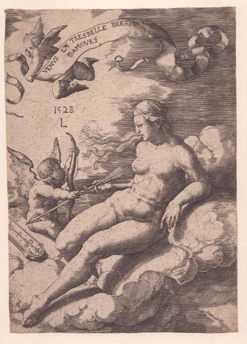 Wenus i Kupidyn, Lucas van Leyden
