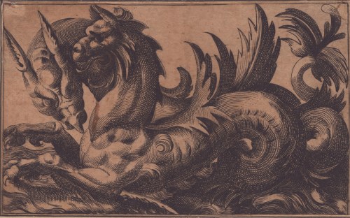 Potwory morskie, Giovanni Andrea Maglioli