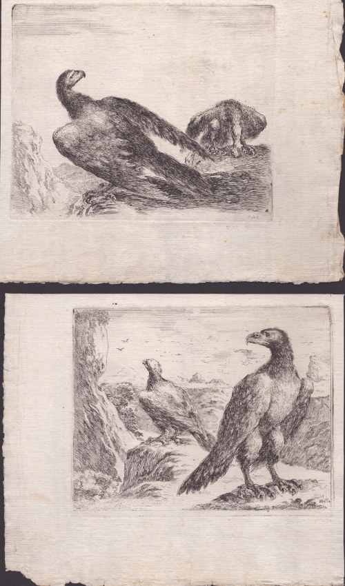 Dwie ryciny z serii "Les aigles", 1651 ok., Stefano della Bella