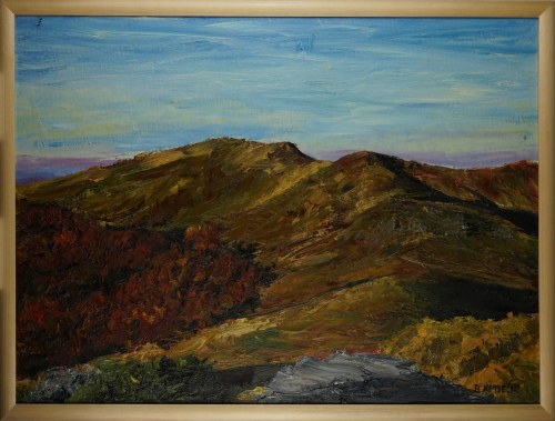 „Bieszczady”, Kmiecik Barbara