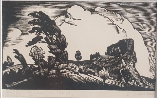 Ruiny zamku ..., Wilhelm Wilk-Ossecki