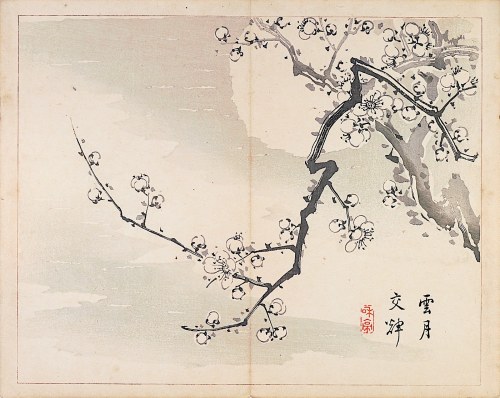 Księżyc i gałązka wiśni, Tokio, 1894, Taki Katei