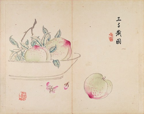 Brzoskwinie, Tokio, 1894, Taki Katei