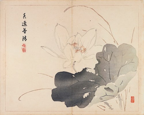 Kwiat lotosu, Tokio, 1894, Taki Katei
