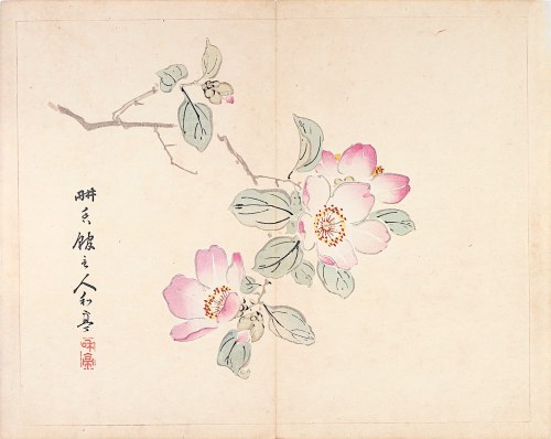 Kwiat jabłoni, Tokio, 1894, Taki Katei
