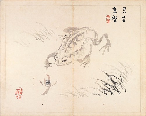 Żaba, Tokio, 1894, Taki Katei