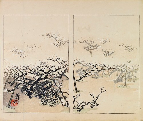 Nakamura Busuke, Kwitnące wiśnie, Kioto, 1892, Yamada Kōtarō