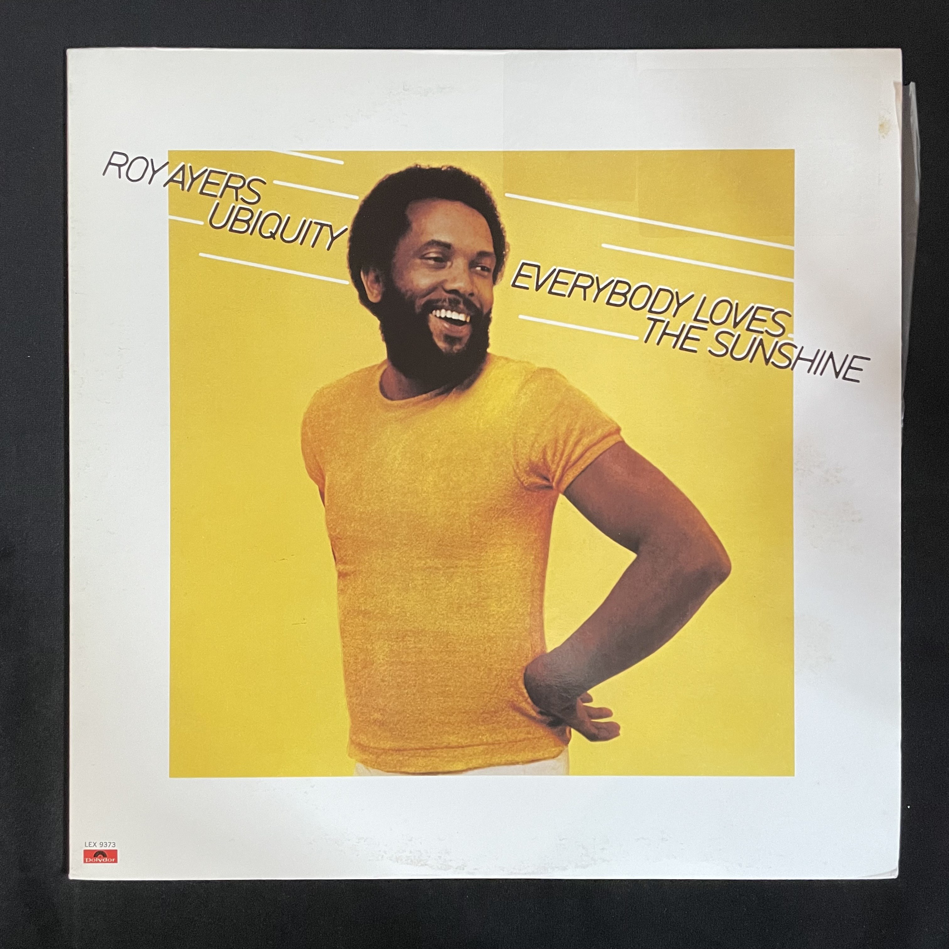 Roy Ayers - Everybody Loves The Sunshine (vinyl record) - Online 