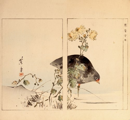Kokoszka (kurka wodna), Tokio, 1890, Watanabe Seitei