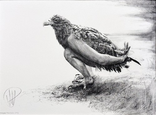 "La Vera Natura", 2012, Michał Powałka