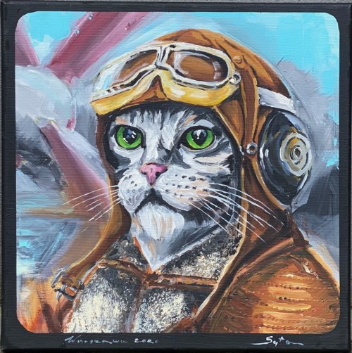 Syty kot pilot, Mariusz Syta
