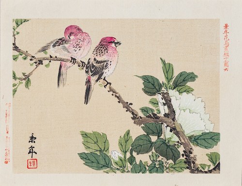 Ptaki i biały kwiat, Osaka, 1892, Imao Keinen