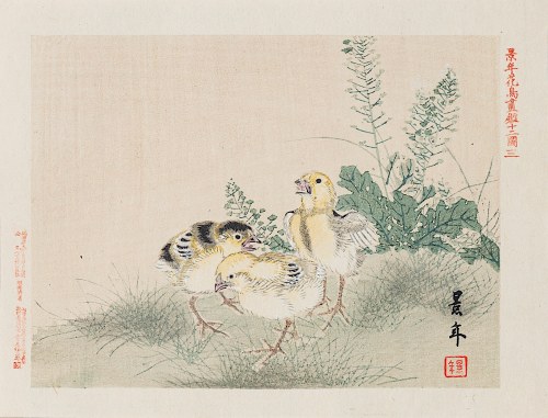 Pisklęta, Osaka, 1892, Imao Keinen