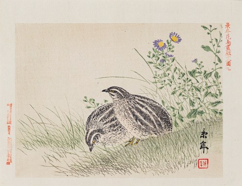 Przepiórki, Osaka, 1892, Imao Keinen