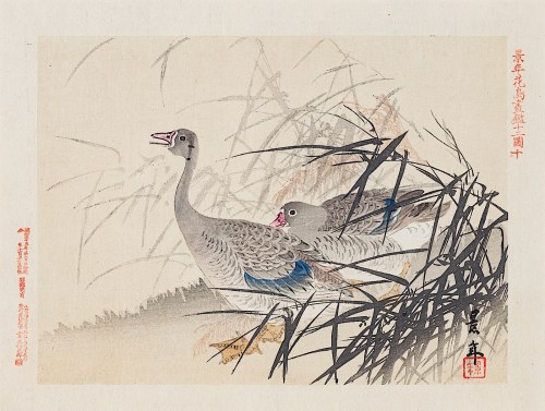 Dzikie gęsi, Osaka, 1892, Imao Keinen