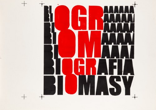 Biografia Biomasy, 2007, Grupa Twożywo
