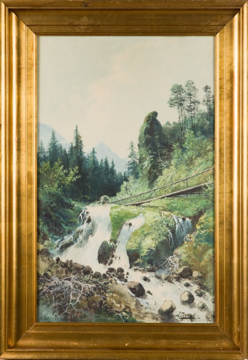 Mostek nad wodospadem, Tadeusz Skowroński