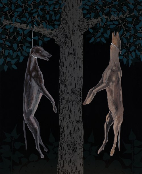 Galgo, 2024, Michał Cygan