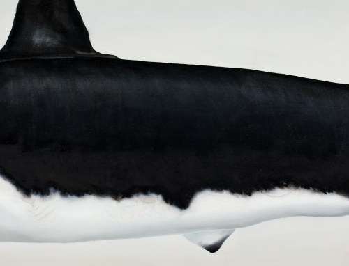 Orka, 2015, Dawid Czycz