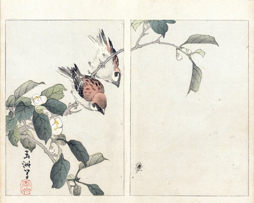 Nakamura Busuke, Polowanie na pajączka, Kioto, 1892, Yamada Kōtarō
