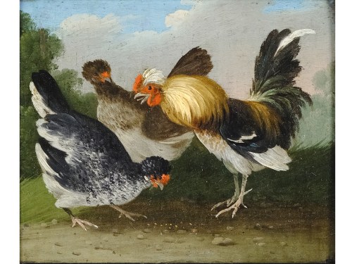 Dilina 1674 - 1740 Praga, przypisywany, Kury, Johann Adalbert Angermayer