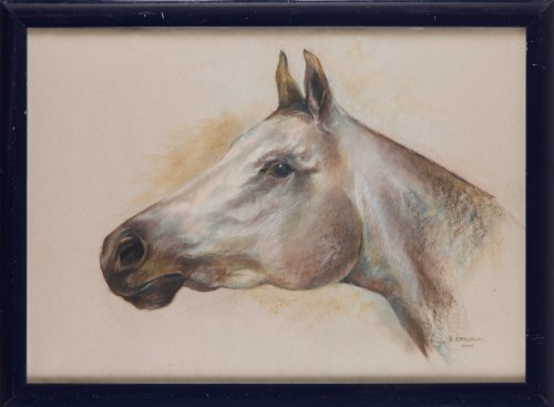 Głowa konia, 2005, B. Bernacki